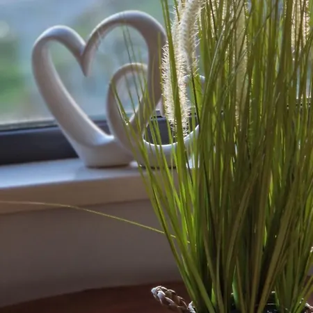 The Cloisters Guest house *