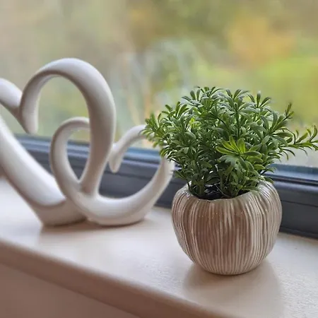 The Cloisters Vendégház *