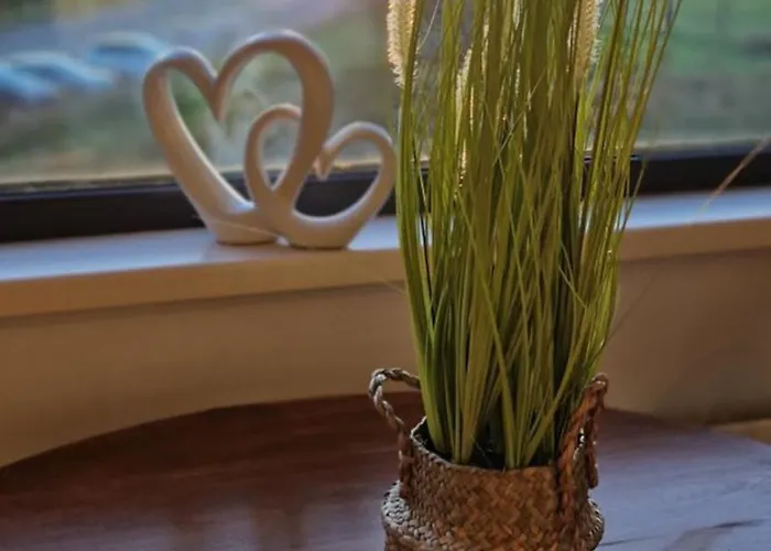 Konukevi The Cloisters