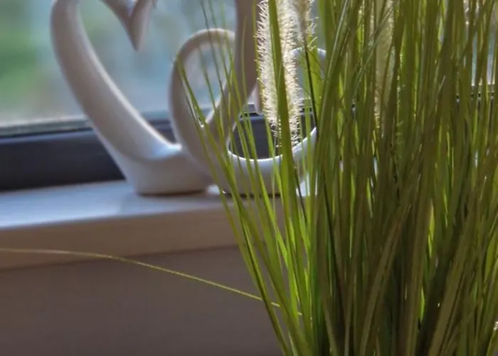 The Cloisters Maison d'hôtes *